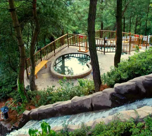 休闲农业项目前景，中国休闲农业行业现状深度调研与发展趋势预测报告