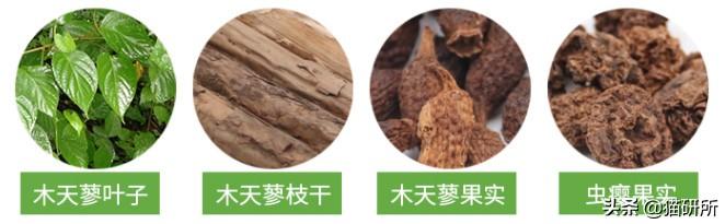 猫咪比较好的零食，提高猫咪生活质量
