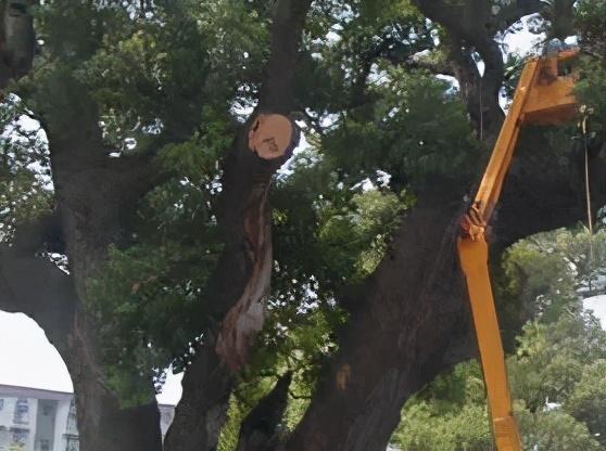 衡阳有什么好玩的地方景点推荐，衡阳的旅游景点推荐