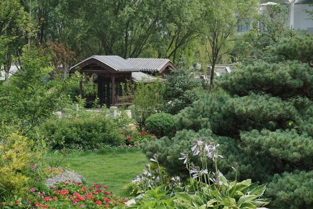 北京必玩景点排名，北京必玩的十个景点排名榜单（北京最值得去的12个景区）