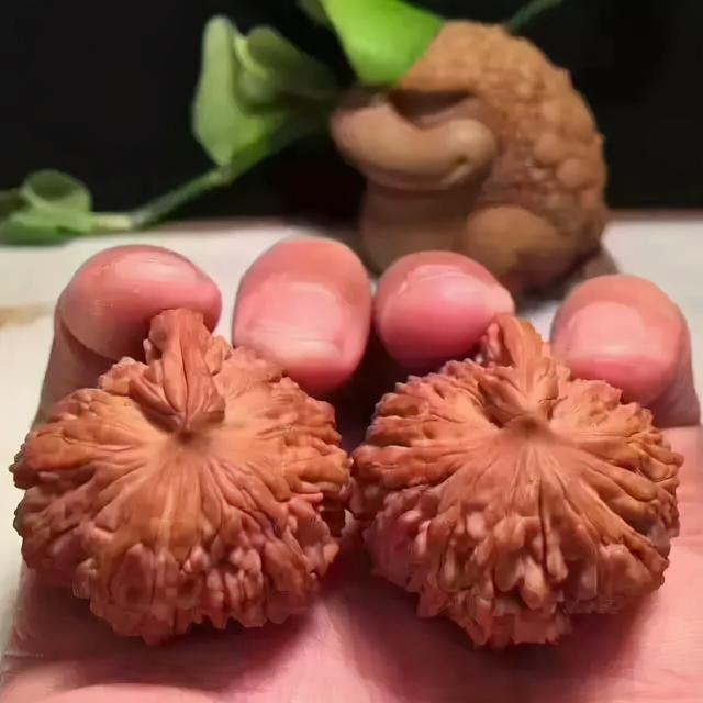 核桃盘多久能红，核桃怎么盘红得快（7天，核桃盘成牛津红）