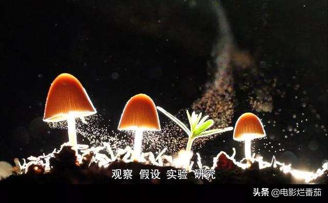 适合教育孩子的五部教育类电影，一部能让孩子变聪明的教育片