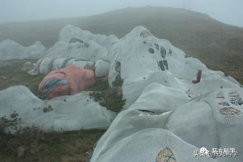 人死后会怎么样，人死后会发生哪些变化（人死后身体会发生什么）