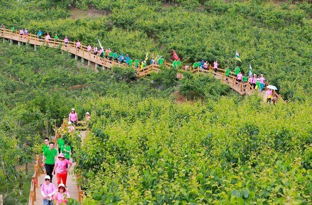 冬季江西旅游必去十大景点，江西8个著名名山山清水秀