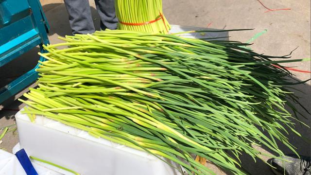 蒜苔炒什么好吃，炒蒜苔的十种做法（这道豆瓣五花肉炒蒜苔发到朋友圈）