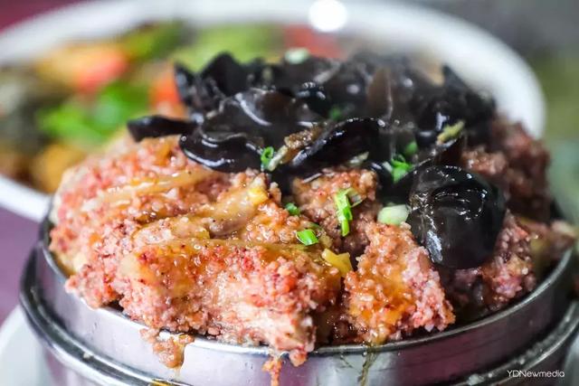 黑龙潭鲶鱼王，电工都搞不定的鲶鱼王