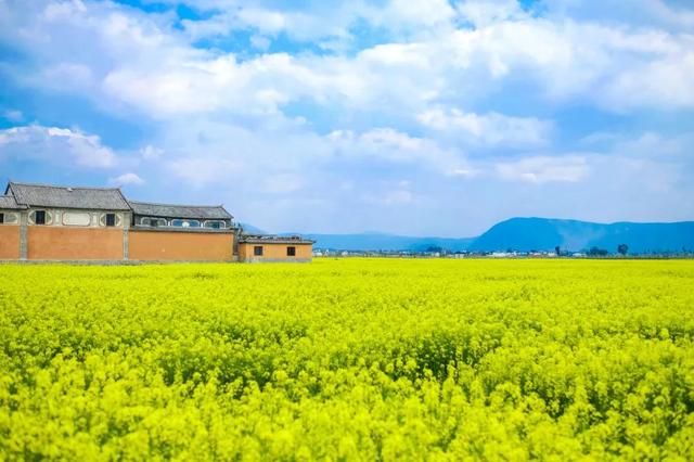 春天踏春赏花时间表，2023春日赏花踏青去哪