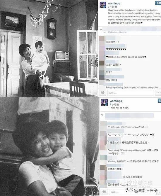 曲婉婷母亲案哪一年，贪官母亲急用钱减刑