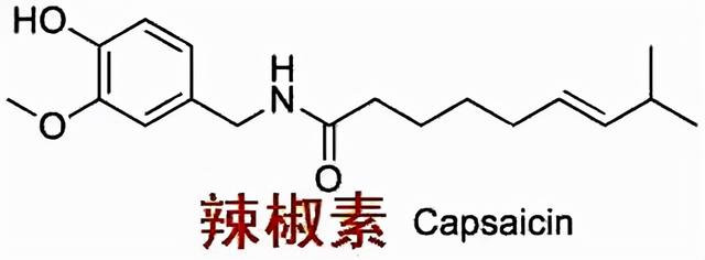工业辣椒辣椒界的战狼，线辣椒性能