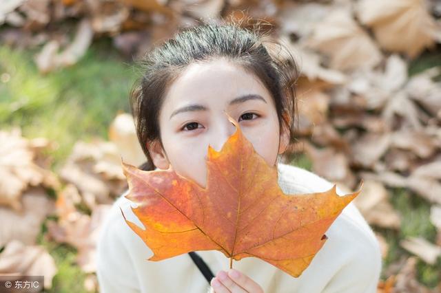 向阳花木易为春，向阳花的寓意