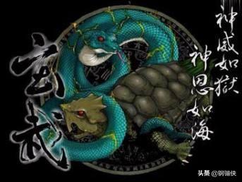 四大神兽对应的四大凶兽，四大神兽青龙白虎、朱雀玄武