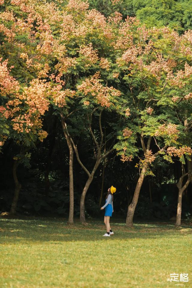 莲花山公园 网红打卡地，莲花山公园又红了