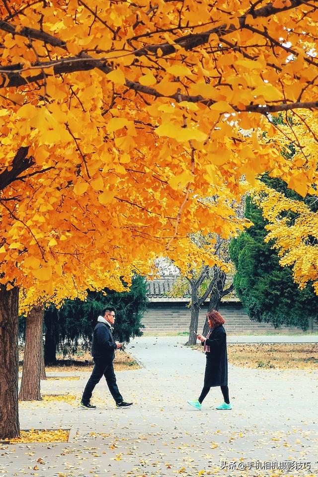 手机人工智能抠图软件，一键人像抠图