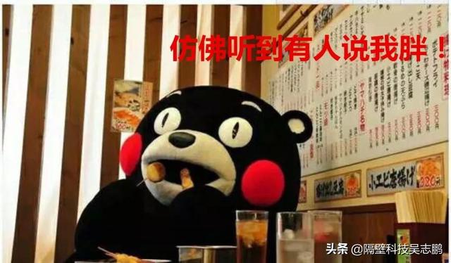 偏胖和肥胖哪个胖(偏胖与胖之间哪个厉害)