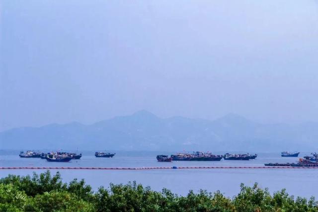 深圳哪个海边值得去，深圳私藏的10个看海好去处