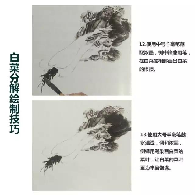 水墨画白菜的画法步骤，写意蔬果入门画法之白菜、辣椒的画法步骤