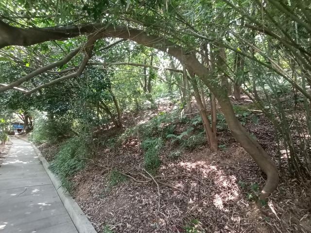 长沙市内十大公园，长沙本地人告诉你这10个地方不能少