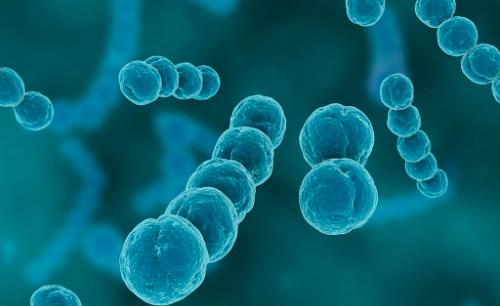 食肉菌感染不可忽视，被食肉菌感染的人