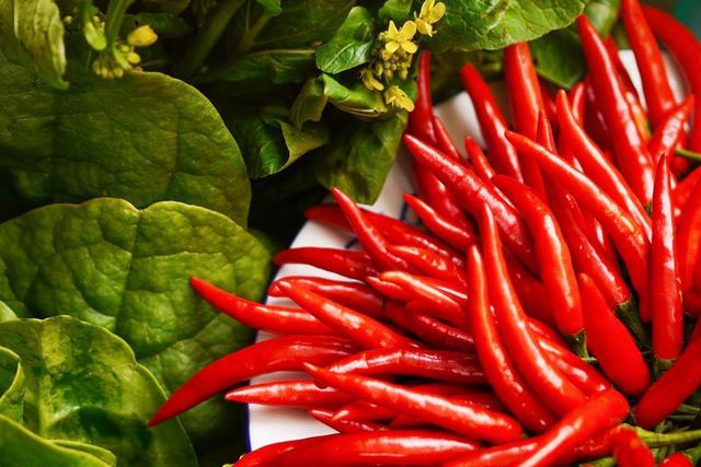 什么是哺乳期妇女，哺乳期、哺乳假和哺乳时间