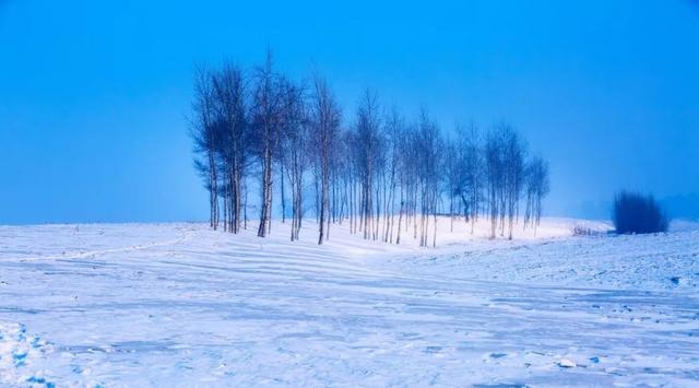 唐诗江雪经典50首，一天一首古诗词有38