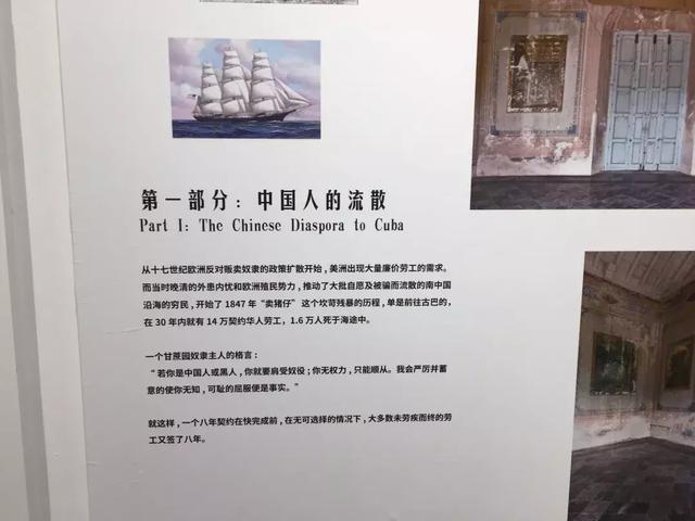 深圳美术馆推荐，深圳这个让我连跑4次的美术馆