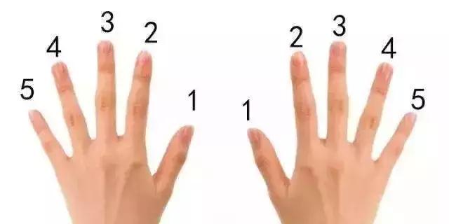 钢琴入门基础学习，成人钢琴学习入门指南