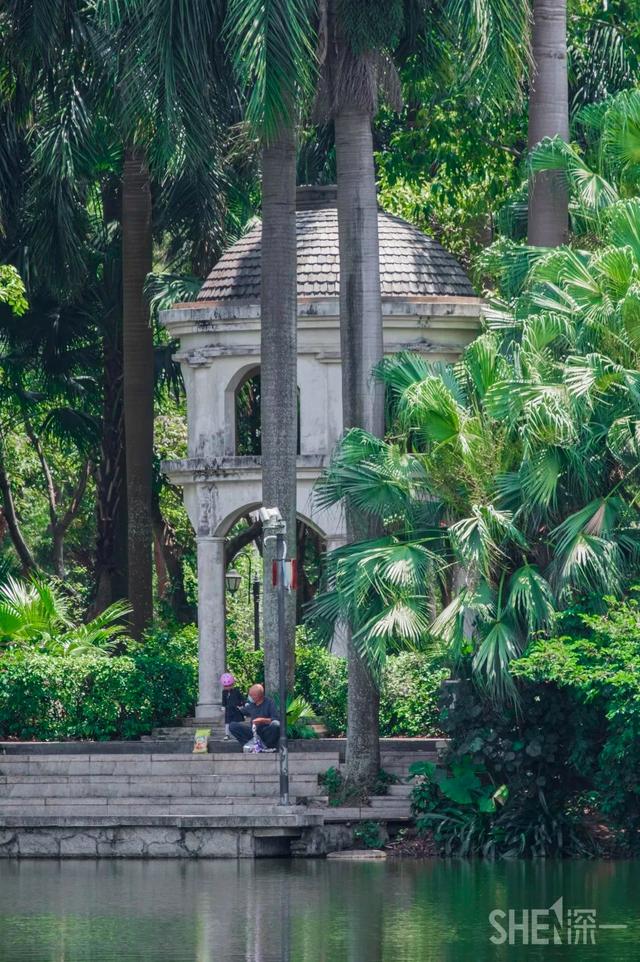 深圳旅游攻略景点推荐，深圳十条旅游路线（不完整的旅游景点和美食选择）