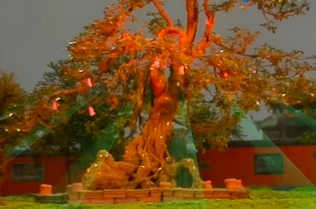 西游记里的人参果，西游记中的人参果到底是什么水果（人参果其实是生命精血养大的）