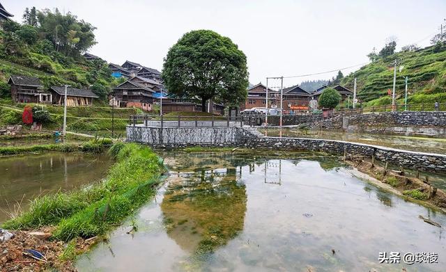 广西苗族侗寨，广西唯一的侗族县