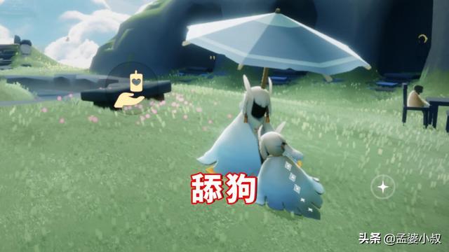 光遇当玩家看见白鸟，光遇什么是白鸟现象