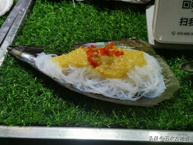 海鲜贝类图鉴，青岛常见食用贝类图鉴大全