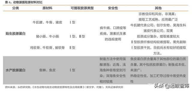 胶原蛋白肽前景，胶原蛋白在美丽和健康领域拥有广阔前景