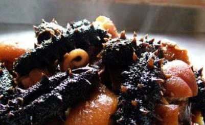 海参的吃法与禁忌，吃海参的禁忌（吃海参的禁忌）