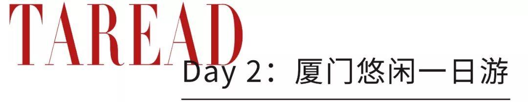 厦门鼓浪屿住宿，想来鼓浪屿毕业旅行（厦门鼓浪屿里面住宿）