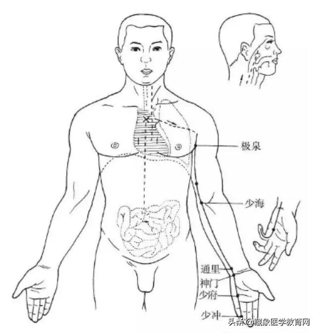 十二经络循行路线，十二经脉循行走向与交接规律图解（<十分钟教你终生不忘）