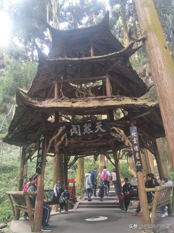 青城山一天旅游攻略图文并茂，青城山\u0026都江堰一日游超全攻略