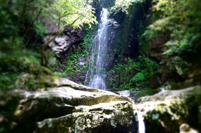 武功山旅游攻略，武功山旅游攻略一日游（江西武功山\u0026仙凤三宝亲子游记）