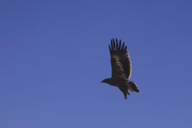 澜沧江流经地图，澜沧江出境后流经的地方（澜沧江流域的地形特征）