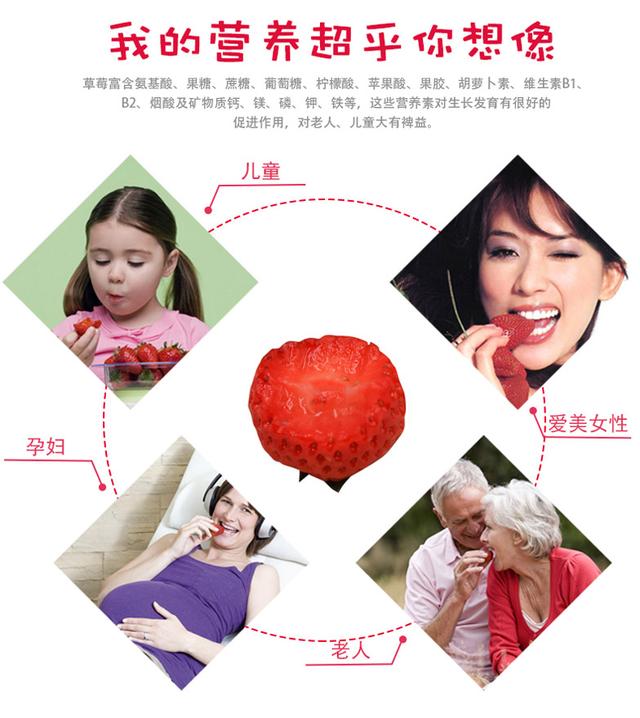 丹东草莓图库，草莓在我国栽培还没有100年