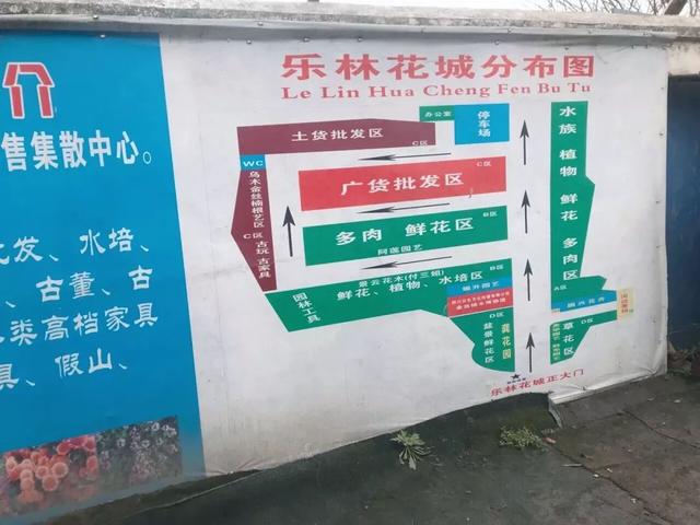 成都便宜的花卉市场在哪里，“214”探访成都万福花市