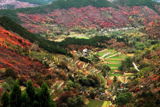 河南省林州市旅游景点介绍，河南林州：春日里的太行大峡谷