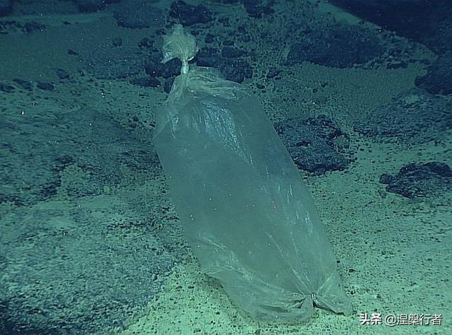 五种常用的塑料及其应用，看懂塑料的发展史