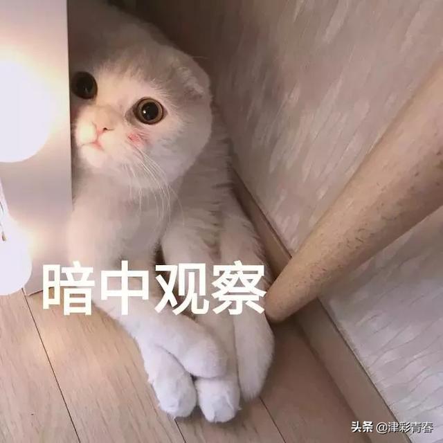 天津特色文化一日游，独家天津旅游手绘攻略新鲜出炉