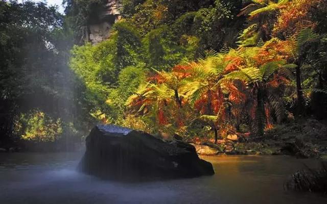 乐山最出名的古镇，乐山旅游必去十大景点推荐一下