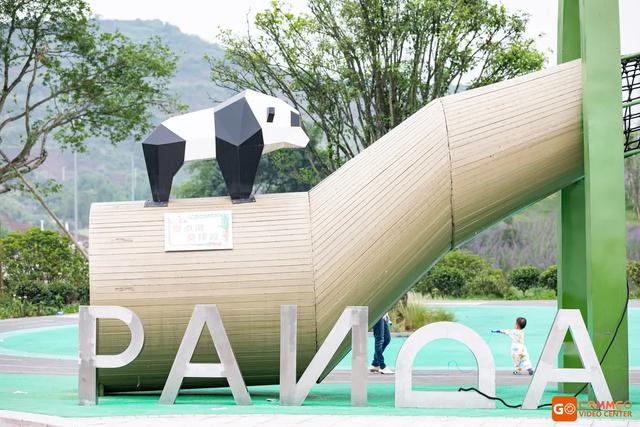 重庆熊猫最多的公园，你知道重庆动物园有多少只熊猫
