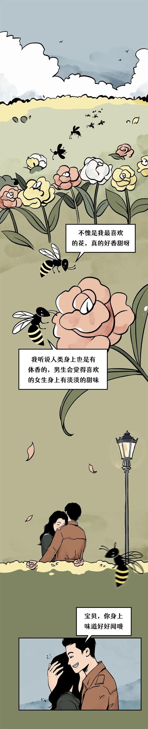 1024cc香蕉视频