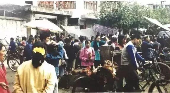 关于芦山的介绍，大话芦山话让你回味无穷