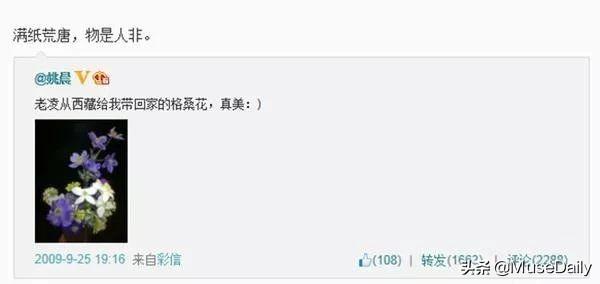 凌潇肃和姚晨怎么回事，凌潇肃为什么和姚晨离婚（两个人的差距一目了然）