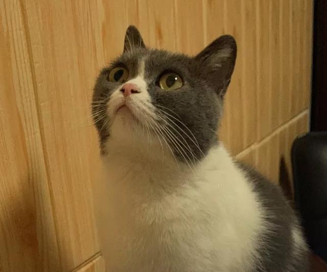 温州排名前十的高中，温州高中排行榜