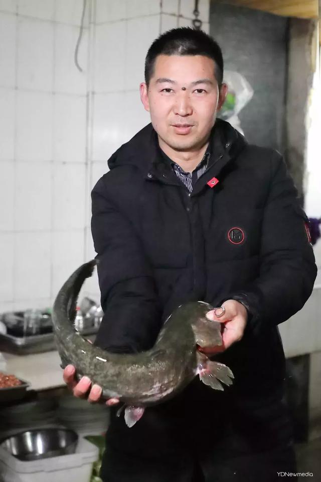 黑龙潭鲶鱼王，电工都搞不定的鲶鱼王